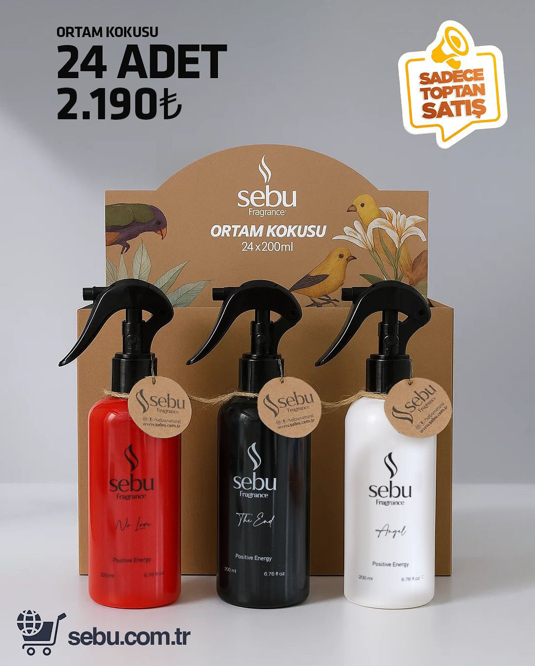 Sebu Fragrance Ortam Kokusu Sprey – 24’lü Set (24 x 200 ml)